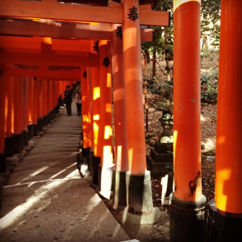 画像7