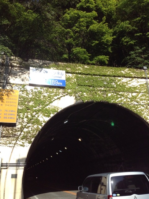 画像12