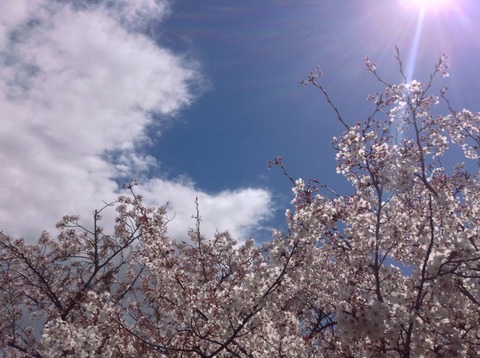 2014-04-04-13-24-53