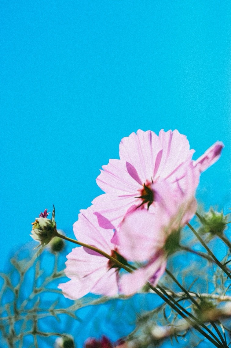 2015-10-17-13-32-10