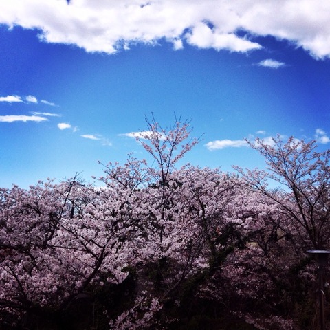 2014-04-04-13-12-05