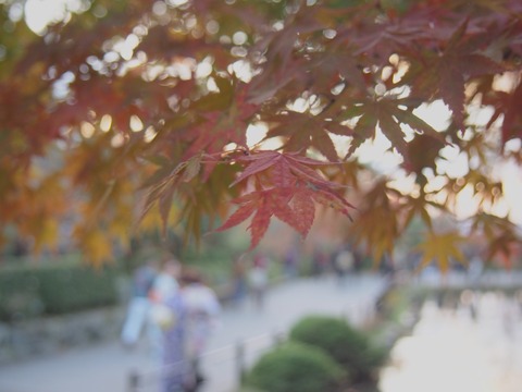 2014-11-15-16-29-43