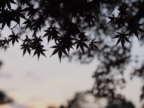 2014-11-15-16-28-15