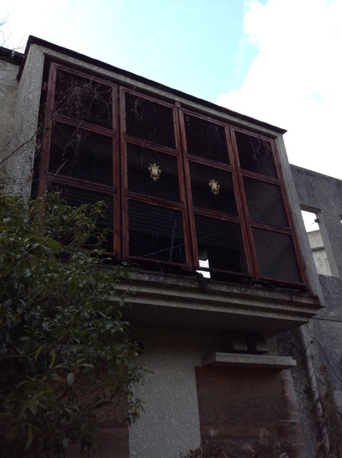 画像10