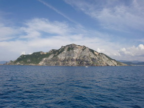 CIMG1294-1