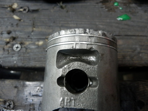 P4060006