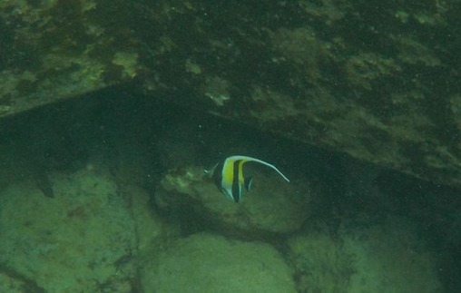 DSCN3587