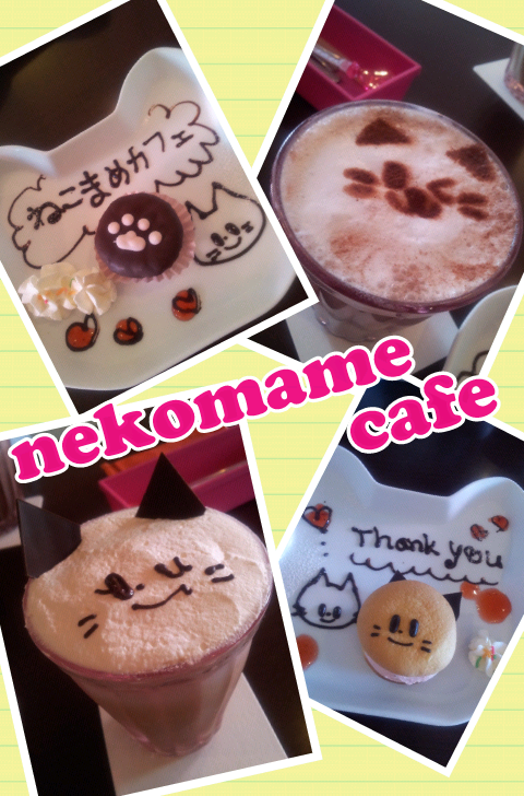 Collage 2013-08-19 10_21_07