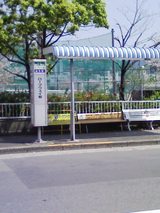 448d430e.jpg