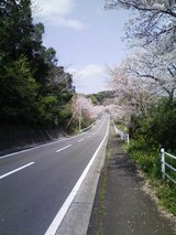 4d26d4e7.jpg