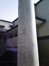 670d221c.jpg