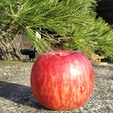IMG_20181126_101242_275