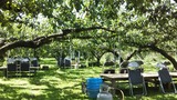 DSC_0389 (1)