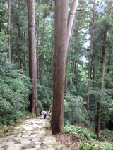 和歌山56