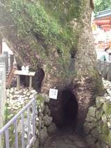 和歌山65