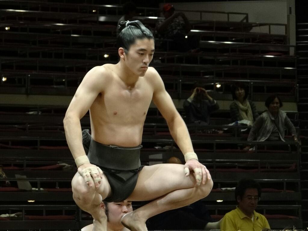 no title 上記は、峰崎部屋出身の序二段、光源治晴(ひかるげんじ はる)だ。 身長...