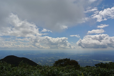 DSC_8410