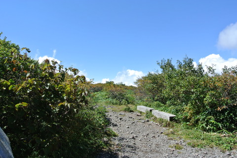 DSC_8481
