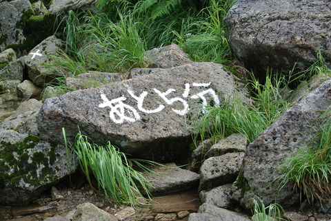 DSC_7775