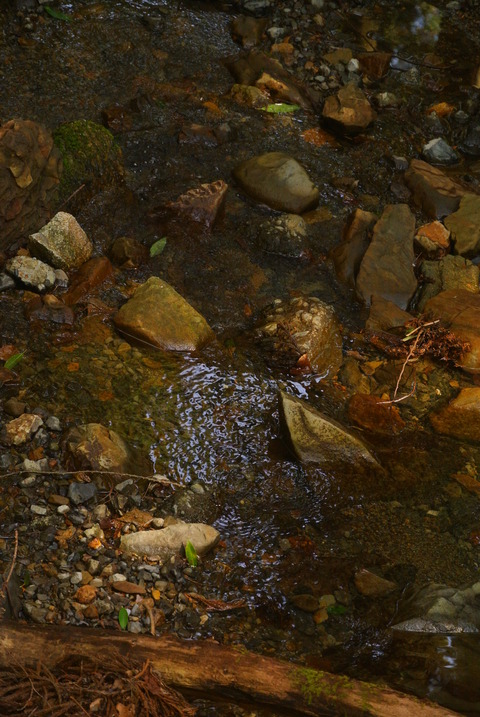 DSC_6227