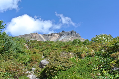 DSC_8528