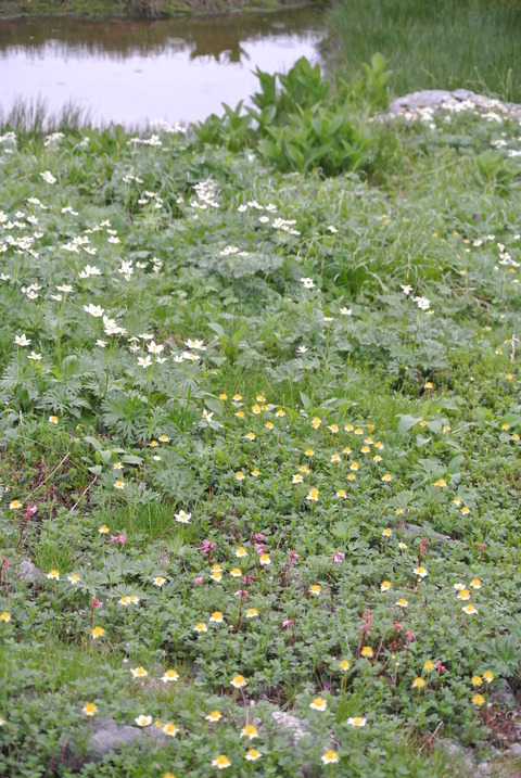 DSC_7887