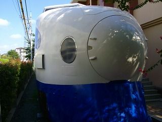 s-IMGP6353
