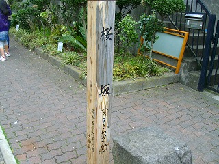 s-IMGP5939