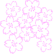 k-sakura2