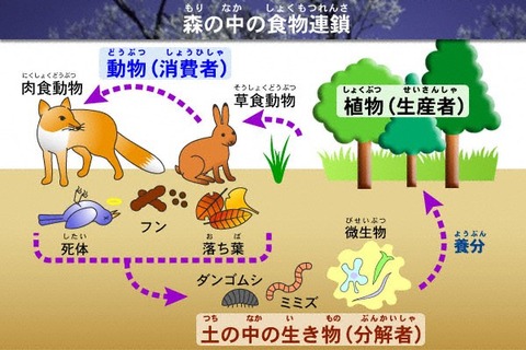 連鎖
