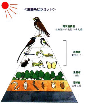 生態系