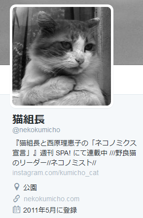 組長 nekokumicho 猫