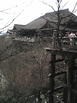 5c4de066.jpg