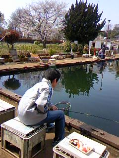 c9d091bd.jpg