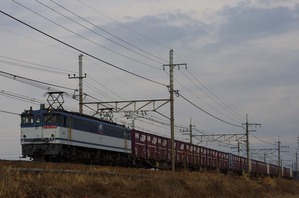 IMGP12191