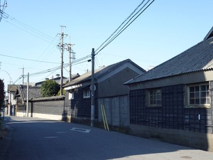 P10000161