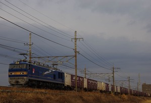 IMGP12511