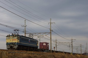 IMGP12381