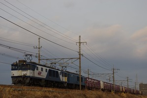 IMGP12691