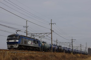 IMGP11921