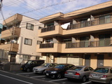 993d9c19.JPG