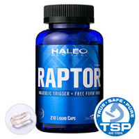 raptor