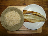 魚