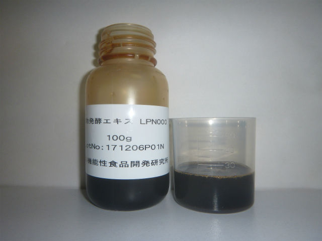 P1100103