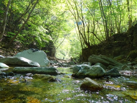 沢