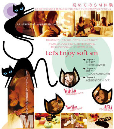 HOW? soft sm ひみつの快感レシピ ~ソフトSM入門~