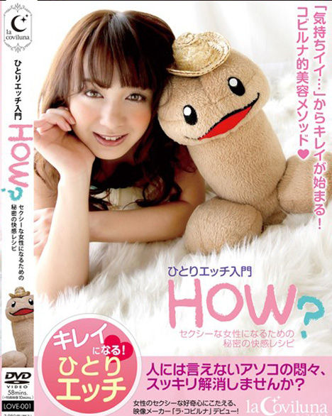 ひとりエッチ入門 HOW? セクシーな女性になるための秘密の快感レシピ