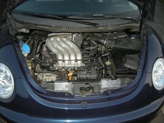 DSCN2383_s