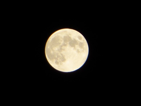 IMG_0114 (640x480)