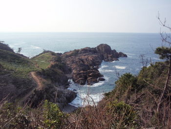 益田市 鎌手地区 水仙の里1